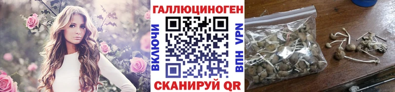 Галлюциногенные грибы Cubensis  Гаврилов Посад 