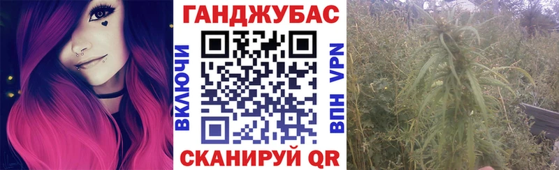 купить наркотик  KRAKEN ONION  Канабис план  Гаврилов Посад 